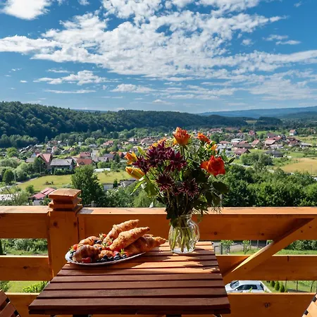 Lodge Pensiunea Panoramic Sovata